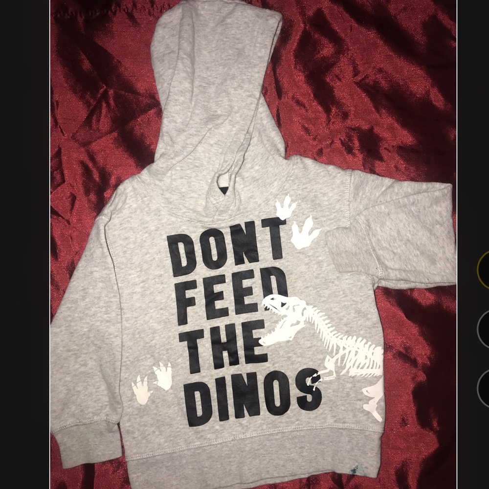Dinosaur sweater for toddler
